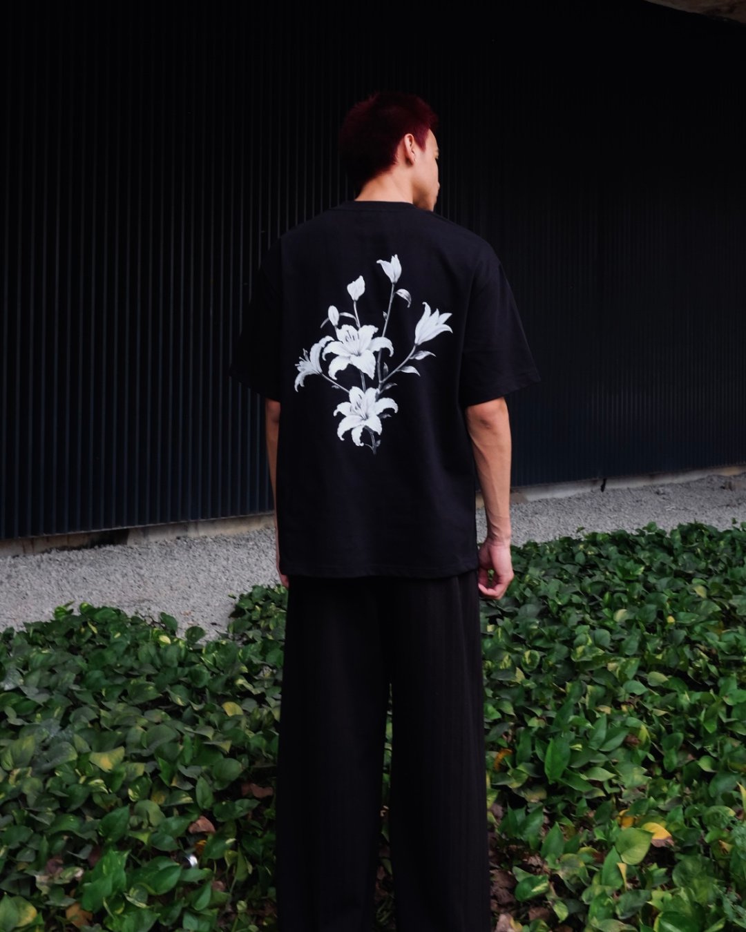 Lily Noir